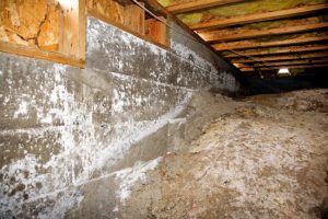 These Three Areas of Your Home Need Mold Testing the Most