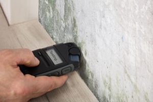 Why You Should Trust Us with Your Mold Inspection