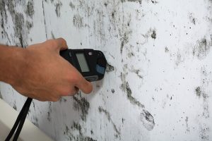 Signs You Need to Schedule Mold Testing