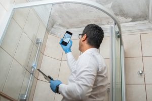 Unraveling the Mysteries of Black Mold: Meet the Black Mold Specialists